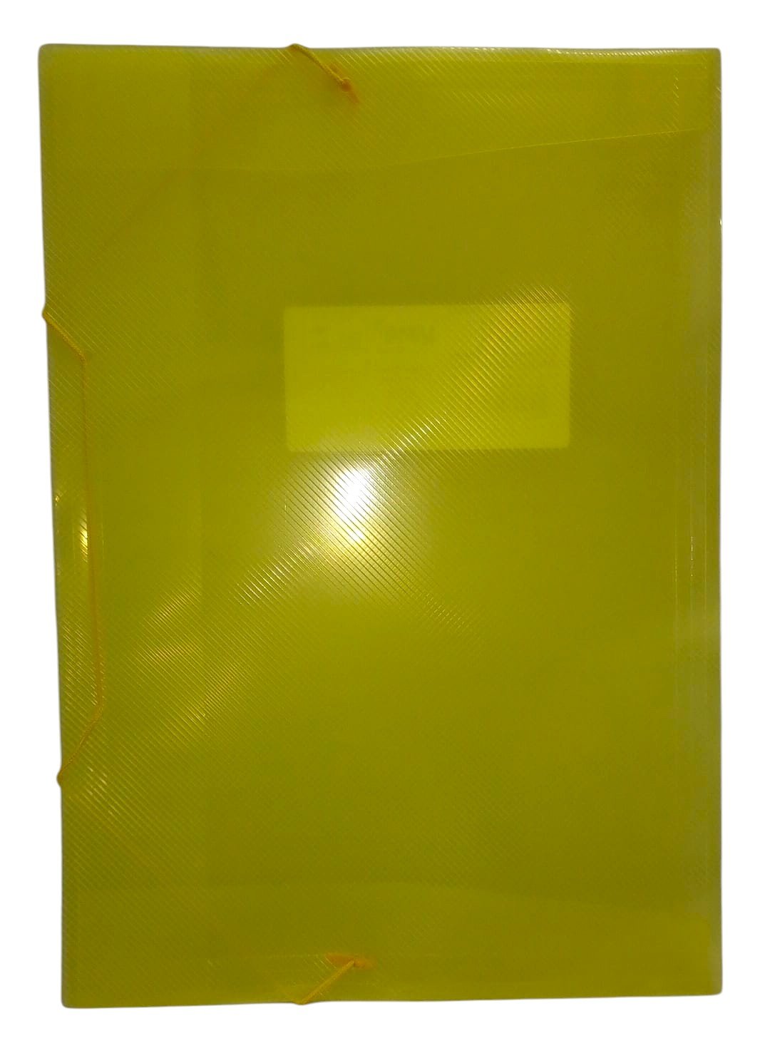PASTA COM ABA PLASTICA OFICIO PP